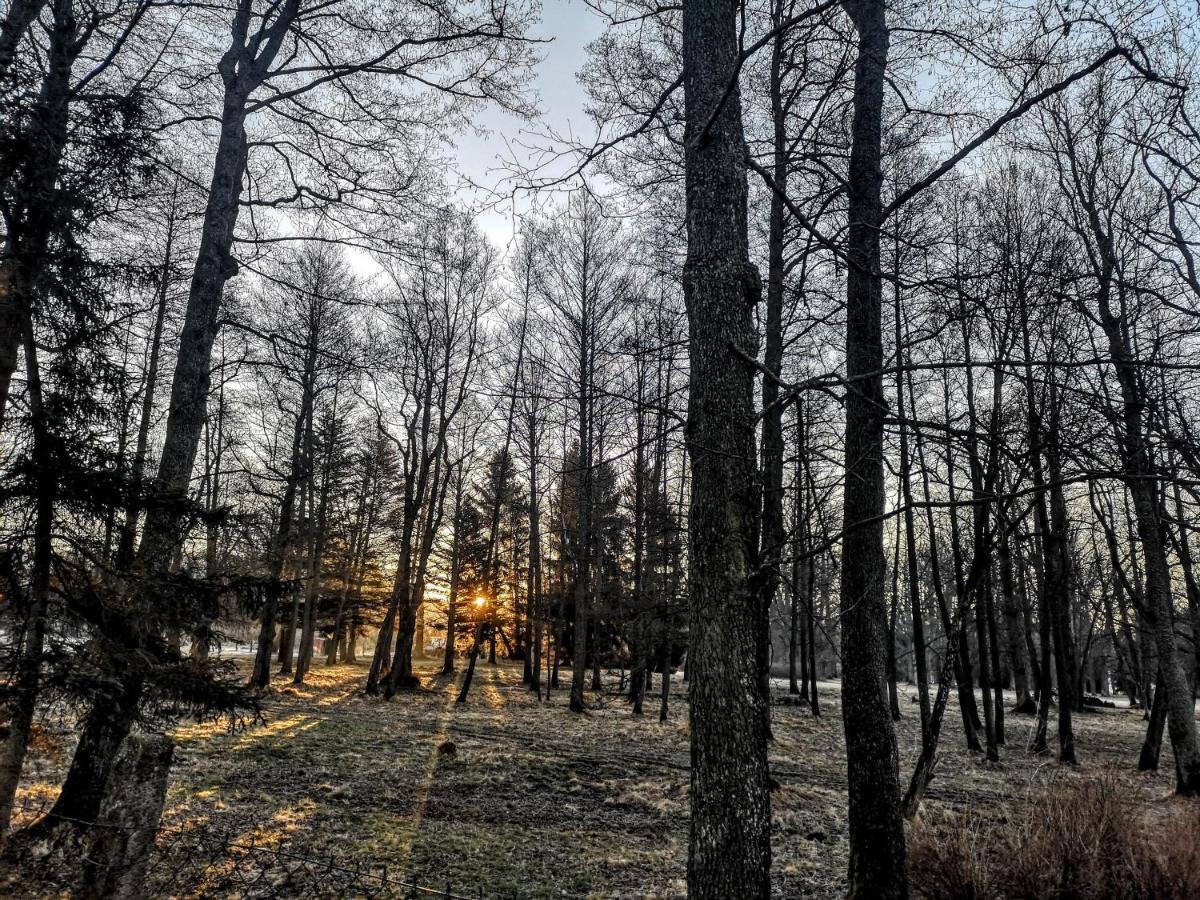 Apartmány Červený Dvůr Chvalšiny Esterno foto